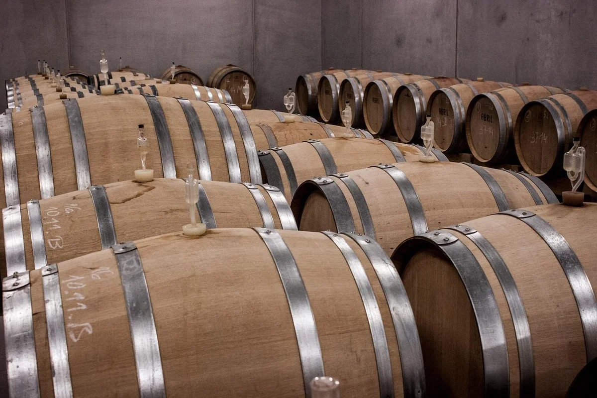 Découvrez les prix 2026 pour une cave à vin sur mesure sous escalier élégante
